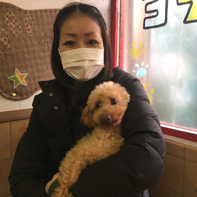 【運命の赤い糸見～つけた💓トイプードルのこっちゃん💕、ポメラニアンのチビタ💕】